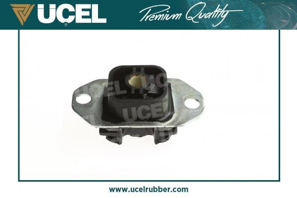 Şanzuman Takozu Sol Kangoo III 08> Tüm Motor Tipleri