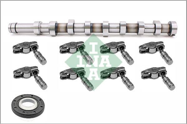 Eksantrik Mili Ford-Peugeot-Citroen-Opel-Volvo 12> Focus-C-Max-Courier-301-308-3008-S60-1.6 Euro 5-1 .5-1.6 TDCi-HDi Eksantrik Mil Tapet-Tus-Keçe Dahil Tam Set