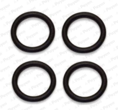 Emme Manifold Contası P107-P206-P307-Bipper-Nemo-C1-C2-C3-Fiesta-Fusion 1.4 HDi DV4