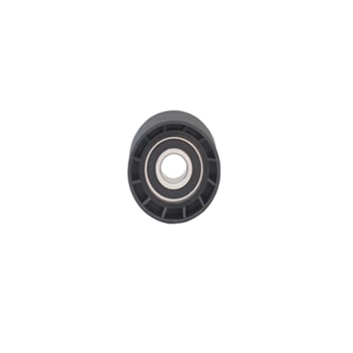 Alternatör Gergi Rulmanı Partner-P206-306-307-Boxer-Berlingo-Jumpy-Jumper 1.9D-2.0D
