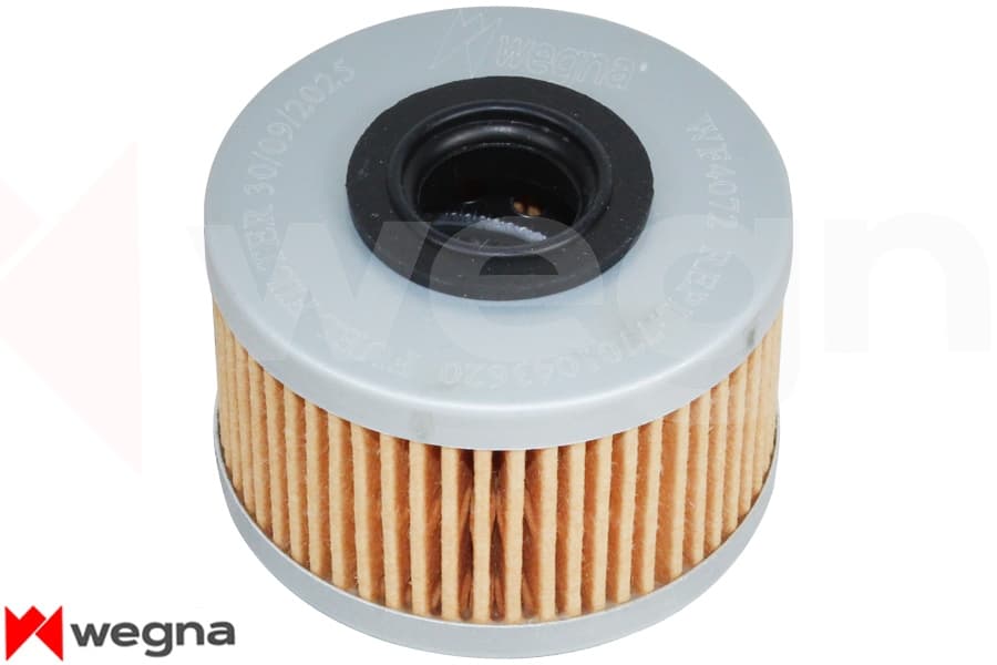 Yakıt Filtresi Clio II 00-05 KNG 03/98>MGN 97-99 -Trafic 89-01 LGN I 97-01 60-75-80-90-98 PS P 716/1x