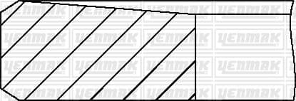 Motor Segmani STD Megane III 09> Scenic III 09> Fluence 09> Trafic III 15> 1.6dCi R9M