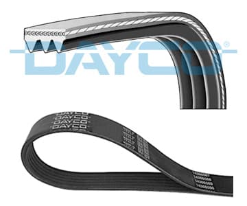 Kanallı Kayış Renault Safrane 2.0 92-96 Honda Lexus Toyota 38356