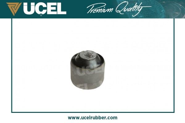 Salıncak Burcu T5 04-> Buyuk