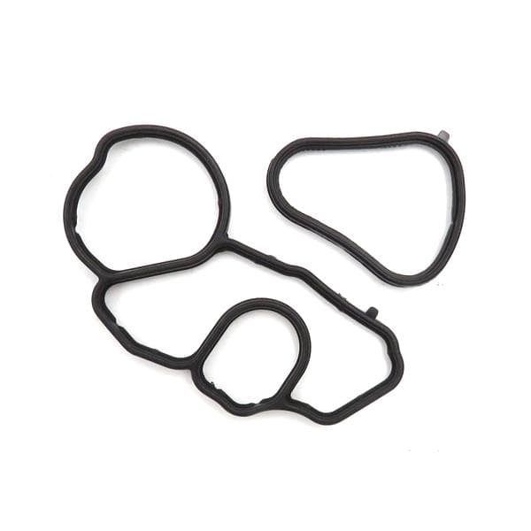 Yağ Filtre Conta Takımı BMW F20 Lci F21 F21 Lci F30 F31 N13