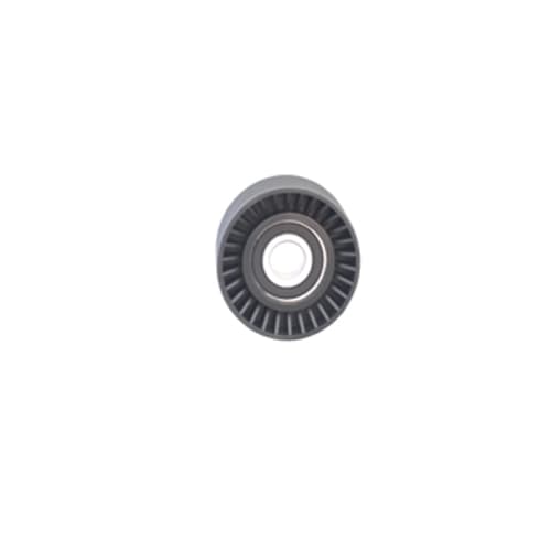 Alternatör Gergi Rulmanı P306-P406-P605-P806-Xsara 2.0 16V