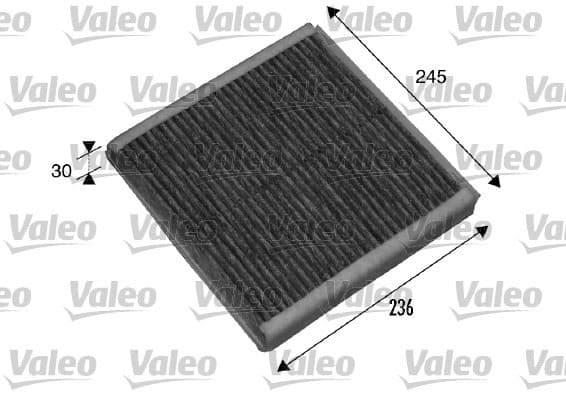 Polen Filtresi BMW E85 E86 E89 Karbonlu