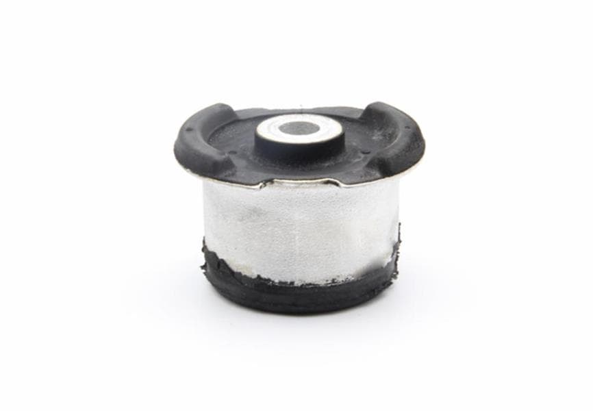 Salıncak Burcu BMW E36 E46