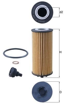 Yağ Filtresi BMW B37 B38 B46 B47 B48 F40 F52 F44 F45 F46 F48 F49 F39 . Mini F54 F55 F56 F57 F60
