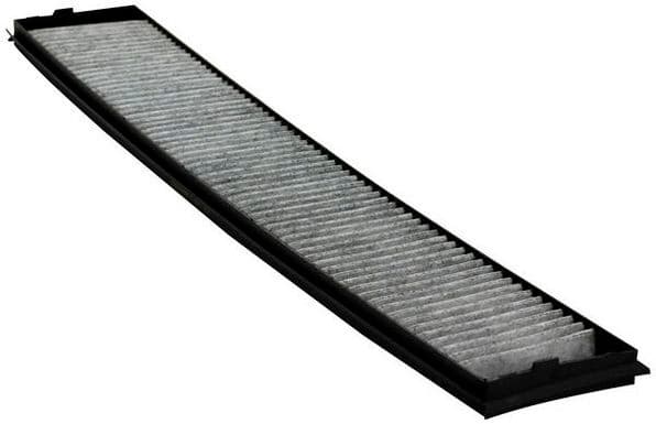 Polen Filtresi BMW E46 E83 Karbonlu