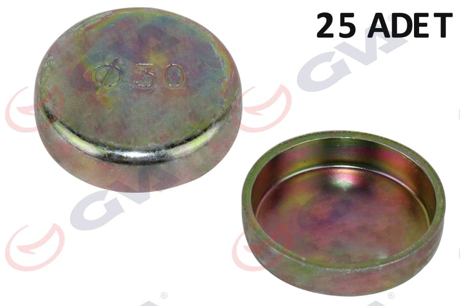 Motor Blok Su Tapası 30 MM Renault Universal Paket 25