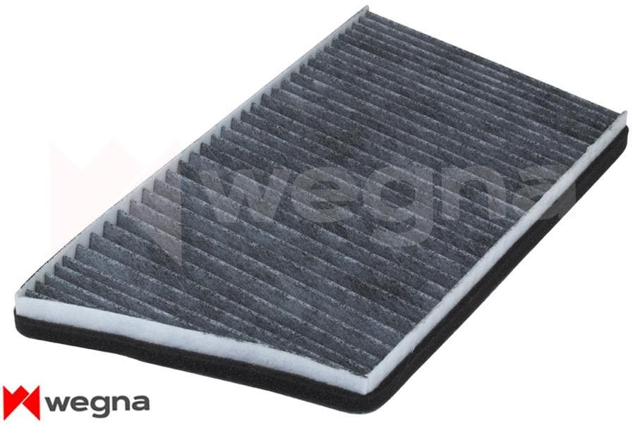 Polen Filtresi Mercedes W203 CL203 S203 C209 A209 Karbonlu