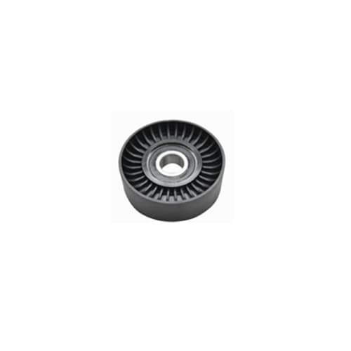 Alternatör Gergi Rulmanı P206-P307-P406-P407-P607-P807-Expert-C5-C8-Jumpy 1.8 16V-2.0 16V-2.0-2.2