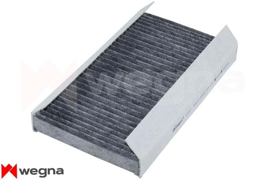 Polen Filtresi Land Rover Discovery III-IV L319 Range Rover Sport I L320 Karbonlu
