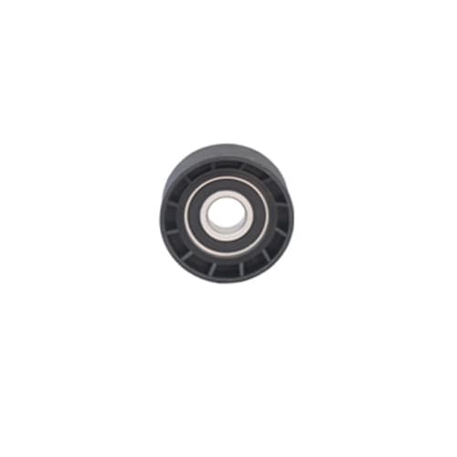 Alternatör Gergi Rulmanı Partner-P206-306-307-Boxer-Berlingo-Jumpy-Jumper 1.9D-2.0D