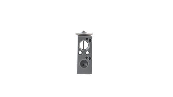 Genlesme Valfi Expansion BMW F40 F52 F44 F45 F46 F48 F49 F39 . Mini F54 F55 F56 F57 F60