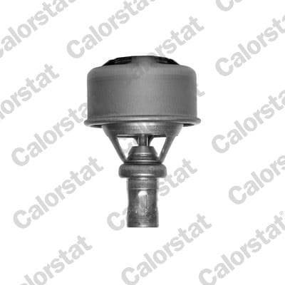 Termostat R12 75C V1324